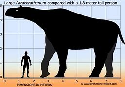 Image result for Objects That Are 5 Meters Tall