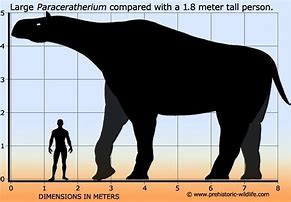 Image result for 5 Metres Tall