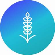 Image result for Grain Icon