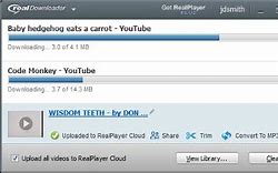 Image result for Real Video Downloader