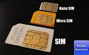 Image result for Tipe Sim Nano