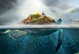 Image result for Turtal with Island On Top
