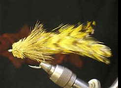 Image result for Deer Jawbone Extractor