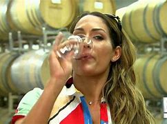 Image result for Brie and Nikki Bella Drinking Wine