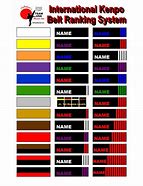 Image result for martial art rank system