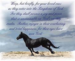 Image result for Sad Horse Quotes