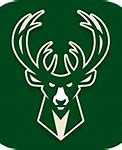 Image result for Newest NBA Team