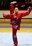 Image result for Chinese Martial Arts