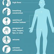 Image result for Symptoms for the Bubonic Plague