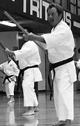 Image result for Traditional Karate and Kobudo