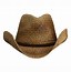 Image result for Brown Straw Cowboy Hat