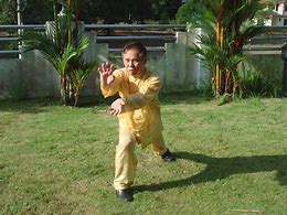 Image result for Dragon Stance Kung Fu Style