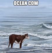 Image result for Cow IJN Ocean Meme Juan