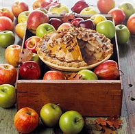 Image result for Baking Apple Types