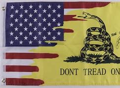 Image result for WW1 American Flag