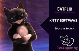 Image result for Kitty Softpaws