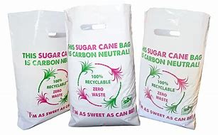 Image result for Sugar Cane Bag