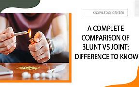 Image result for Blunt vs Joint