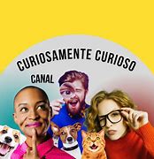 Image result for curiosamente