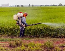 Image result for Different Types of Pesticides
