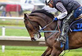 Image result for Royal Ascot Horse Racing