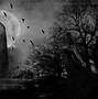 Image result for Gothic Wallpaper with Black Base Boards
