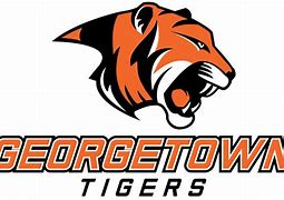 Image result for Tigers College Football Logo
