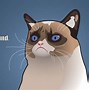 Image result for Grumpy Cat Desktop