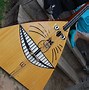 Image result for Strange Musical Instruments