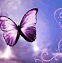 Image result for Cute Purple Wallpaper and Screensavers