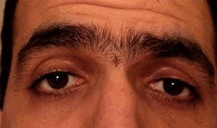 Image result for Uno Brows Funny