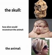 Image result for Smol Brain Meme