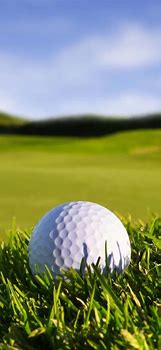 Image result for iPhone XS Golf