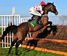 Image result for Horse Racing Photos Free