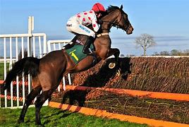 Image result for Race Horse Photography
