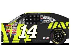 Image result for NASCAR Art