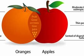 Image result for Difference Between Apples and Oranges