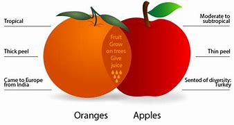 Image result for Apple and Orange Contrast