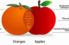 Image result for Venn Diagram Apple and Orange