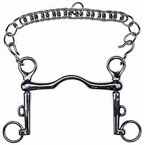 Image result for Double Bridle Bits