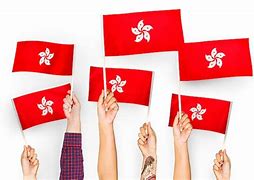 Image result for Flag Day Hong Kong
