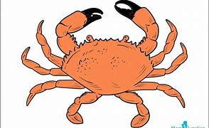 Image result for Crab Drawing