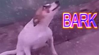 Image result for Dancing Brazil Dog Meme