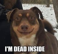 Image result for Funny Dead Inside Memes