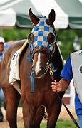 Image result for Scarfo Racehorse