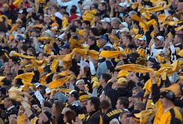 Image result for Fans Cheering Steelers
