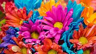 Image result for iPhone Flower Wallpaper 4K