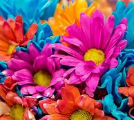 Image result for iPhone X Wallpaper 4K Flowers