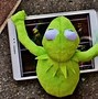 Image result for Kermit the Frog Drinking