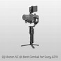 Image result for Gimbal for Sony A7iii